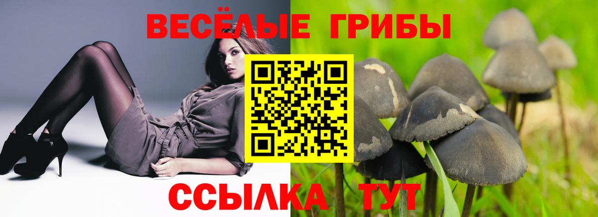 Серов  Галлюциногенные грибы Psilocybe  Вход с VPN 